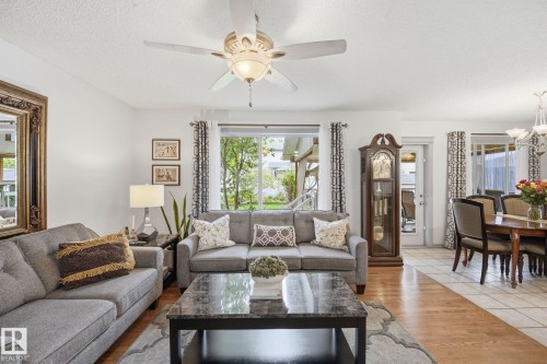 Living area featuring a ceiling fan, wood-finish flooring, and large windows - 3231 28A Avenue Nw, Edmonton, AB 