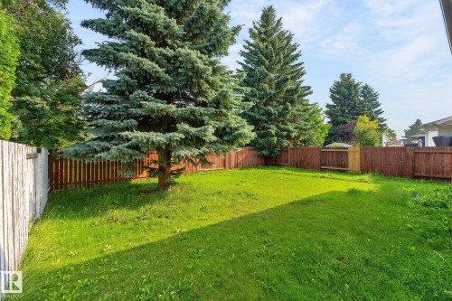Expansive backyard featuring a lush lawn, mature evergreen trees, and a combination of wood-panel and picket fencing - 3722 34A Avenue Nw, Edmonton, AB - Outdoor With Backyard