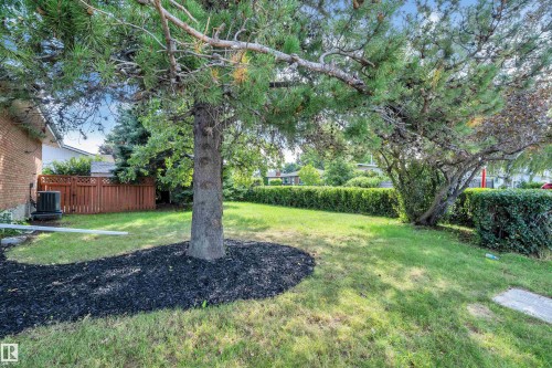 Manicured lawn with mature trees, established shrubs, and a decorative wood chip bed - 8803 68A Street Nw, Edmonton, AB 