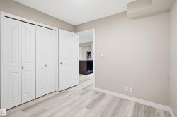Light wood-finish flooring, neutral wall tones, white bi-fold closet doors, and white trim - 