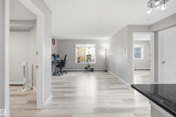 Light wood-finish flooring throughout, multiple windows, and a black countertop with an undermount sink - 