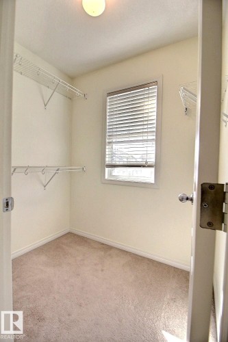 Built-in wire shelving, window with blinds, overhead light fixture, light-colored carpeting, and a white interior door - #18 4850 Terwillegar Cm Nw, Edmonton, AB 