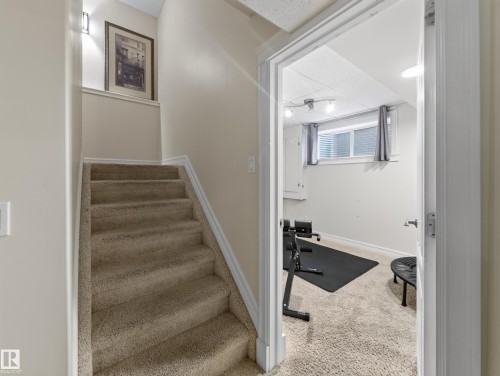 Carpeted staircase with white trim - 1223 Appleton Close, Sherwood Park, AB 