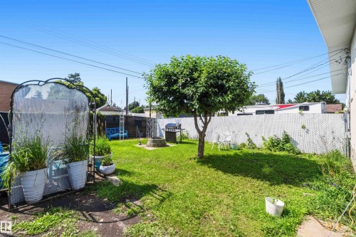 Expansive backyard featuring a mature tree, well-maintained lawn, and a chain-link fence - 13408 67 Street Nw, Edmonton, AB 