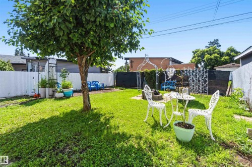 Expansive green space featuring a mature tree, a paved patio area, and perimeter fencing - 13408 67 Street Nw, Edmonton, AB 