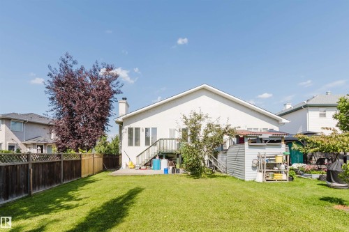 Spacious grassy yard with a wooden privacy fence, mature trees, and a ground-level patio - 8517 156 Avenue Nw, Edmonton, AB 