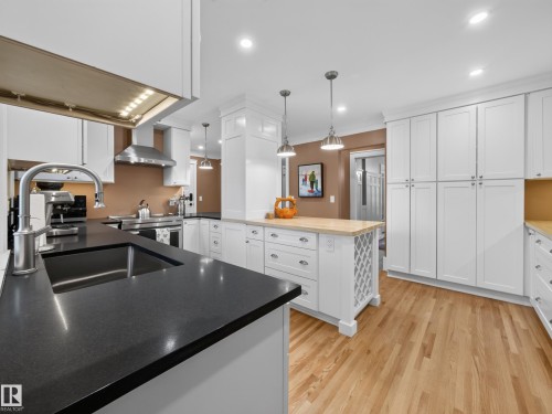 11108 64 Street Nw, Edmonton, AB - Indoor Photo Showing Kitchen With Double Sink With Upgraded Kitchen