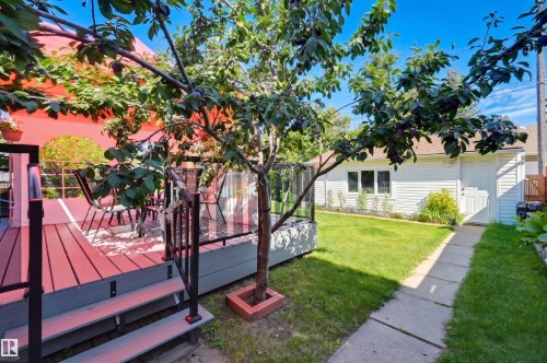 8819 142 Street Nw, Edmonton, AB 