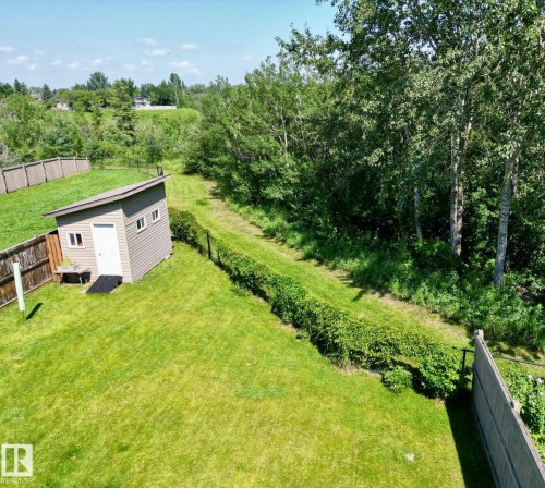 Aerial view of the backyard set against the ravine - 57 Homestead Crescent Nw, Edmonton, AB 
