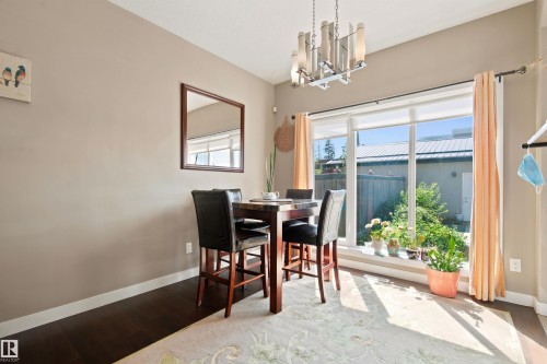 Dark wood-finish flooring with an area rug, contemporary chandelier, and a large window with roller shades - 10833 63 Avenue Nw, Edmonton, AB 