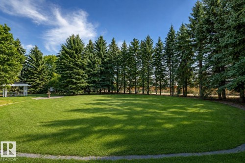 Expansive lawn area bordered by mature evergreen trees - 14 Highlands Place, Wetaskiwin, AB 