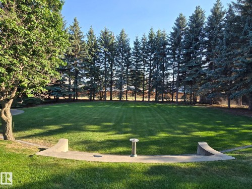 Expansive lawn area featuring a concrete retaining wall, a paved pathway, mature evergreen trees, and a substantial deciduous tree - 14 Highlands Place, Wetaskiwin, AB 