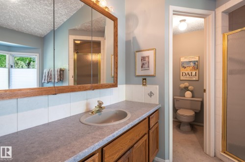 Wood-finish vanity with a single basin sink and laminate countertop - 8 Edgemont Point(E), St. Albert, AB 