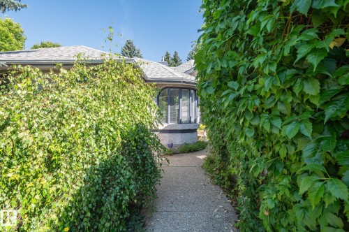 Paved walkway leading to the property, featuring dense green foliage, a round window, and a shingled roof - 8 Edgemont Point(E), St. Albert, AB 