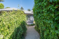 Paved walkway leading to the property, featuring dense green foliage, a round window, and a shingled roof - 