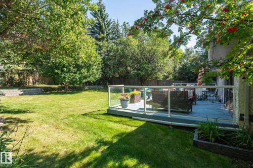 Expansive backyard featuring a manicured lawn, mature trees, and a raised wooden deck with glass panel railing - 8 Edgemont Point(E), St. Albert, AB 