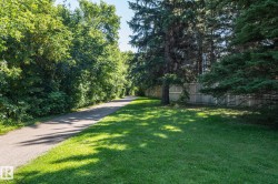 Paved pathway bordered by mature trees and a manicured lawn, featuring a wood privacy fence - 