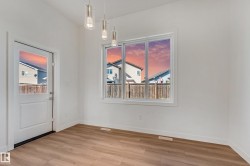 Wood-finish flooring, white walls, and contemporary pendant lighting fixtures - 