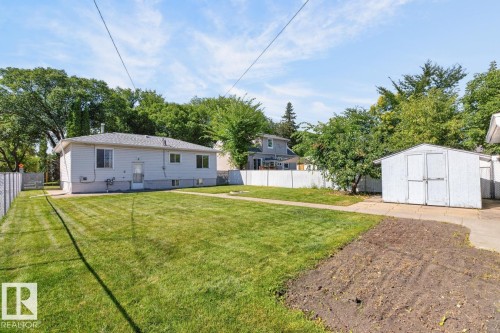 Expansive lawn area with a white privacy fence and a detached storage shed - 12309 128 Street Nw, Edmonton, AB 