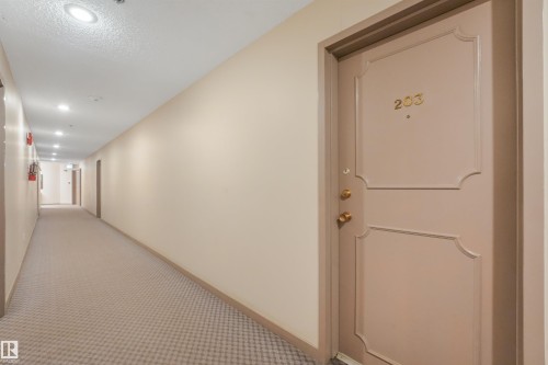 Recessed ceiling lighting illuminates a hallway with patterned carpet flooring, leading to a panel door with brass hardware and numerals - #203 10171 119 St Nw, Edmonton, AB 