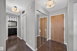 Entry way into the Condo featuring full length mirrored closet. - 
