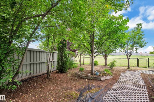 Expansive yard featuring mature trees, a privacy fence, a built-in planter, and a patterned paver pathway - 1226 Mcallister Way Sw, Edmonton, AB 