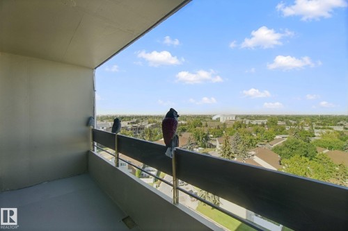 Private balcony featuring a painted concrete floor and a metal railing - #104 8745 165 St Nw, Edmonton, AB 