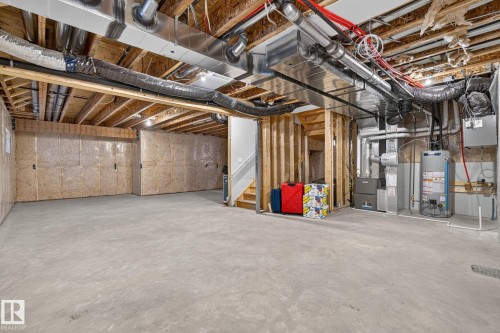 Basement - 16304 19 Avenue Sw, Edmonton, AB 