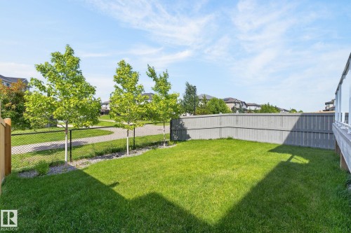 Expansive backyard featuring a lush lawn, privacy fencing, and a modern deck with glass railing - 16304 19 Avenue Sw, Edmonton, AB 