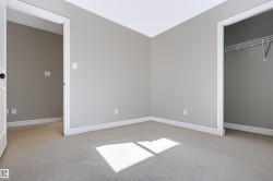 Gray wall finish, white trim, and light-toned carpeting - 
