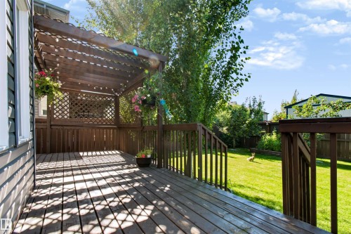 Spacious wood deck with a built-in pergola, privacy lattice, and wood railings overlooking a large grassy yard - 1420 158 Street Sw, Edmonton, AB 