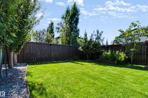 Expansive backyard with a manicured lawn, established trees, and a dark-stained privacy fence - 1420 158 Street Sw, Edmonton, AB 
