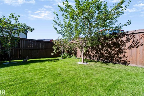 Expansive grassy yard with mature trees and a tall privacy fence - 1420 158 Street Sw, Edmonton, AB 