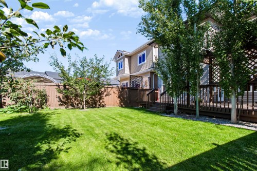 Expansive backyard featuring a manicured lawn, established trees, and a spacious wooden deck with lattice accents - 1420 158 Street Sw, Edmonton, AB 