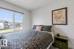 White walls, large window, and light-toned carpet - 