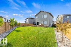 Expansive green lawn with a wooden privacy fence, gravel borders, and young trees - 