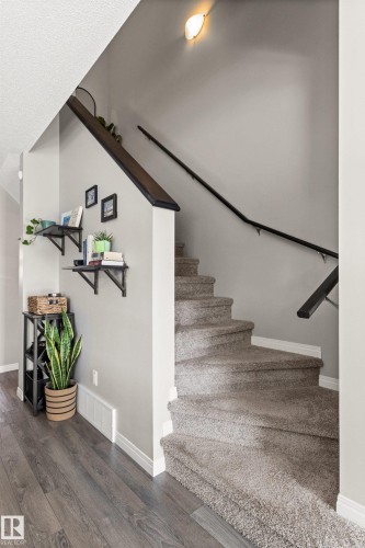 Carpeted staircase with black railing, wood-finish flooring, and wall-mounted sconce - 4306 Prowse Link Link Sw, Edmonton, AB 