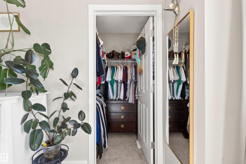 Walk-in closet featuring carpet flooring, built-in dark wood-finish drawers, and hanging rods - 4306 Prowse Link Link Sw, Edmonton, AB 