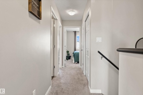 Light gray wall paint, textured carpeting, white trim, and white doors - 4306 Prowse Link Link Sw, Edmonton, AB 
