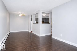 Hardwood-finish flooring, light gray wall paint, and white trim throughout - 