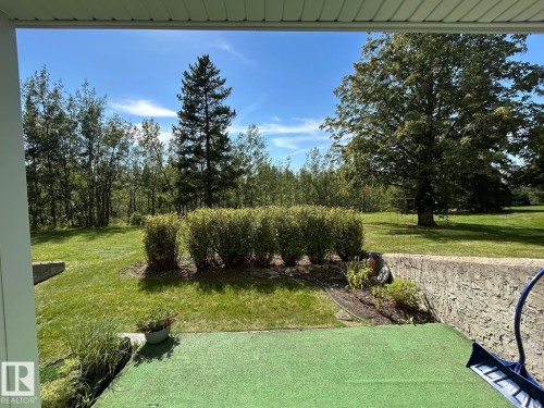 Expansive green space featuring mature trees and established shrubbery, with a concrete retaining wall and a covered patio area - #112 4404 122 St Nw, Edmonton, AB 