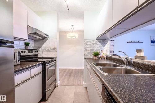 #237 10636 120 St Nw, Edmonton, AB - Indoor Photo Showing Kitchen With Double Sink
