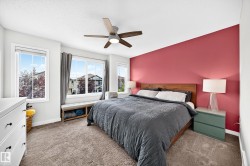 Carpeted room with multiple windows, a ceiling fan with integrated lighting, and a wood-finish headboard - 
