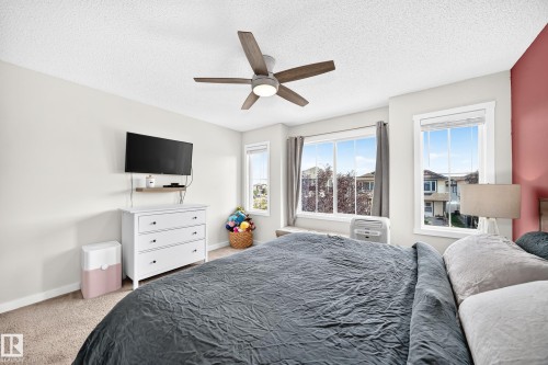 Ceiling fan with integrated lighting, multiple windows, window sills, carpeting, and a painted accent wall - 16832 53 Street Nw, Edmonton, AB 