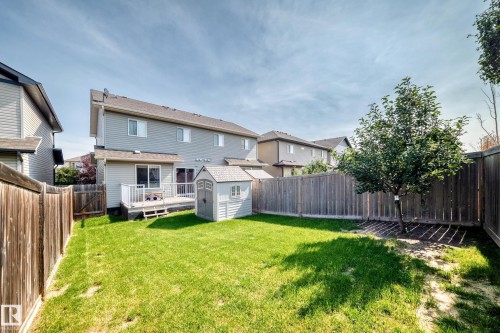 Expansive grassy yard with a wooden privacy fence, mature tree, and a storage shed - 16832 53 Street Nw, Edmonton, AB 