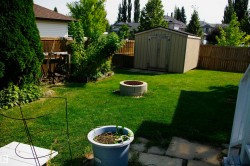 Expansive backyard featuring a manicured lawn, a built-in fire pit, a storage shed, a wood fence, and mature landscaping - 