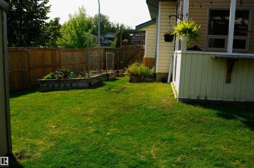 Expansive green lawn with a wood-panel fence and built-in garden beds - 25 Hasen Close, St. Albert, AB 