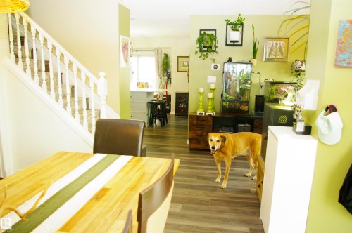 Wood-finish flooring throughout, white baluster staircase, and light green wall accents - 25 Hasen Close, St. Albert, AB 