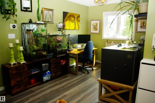 Wood-finish flooring with light green wall color - 25 Hasen Close, St. Albert, AB 