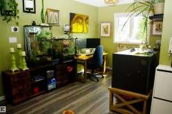 Wood-finish flooring with light green wall color - 